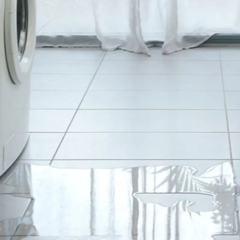 Appliance Leak Cleanup in Putney, GA
