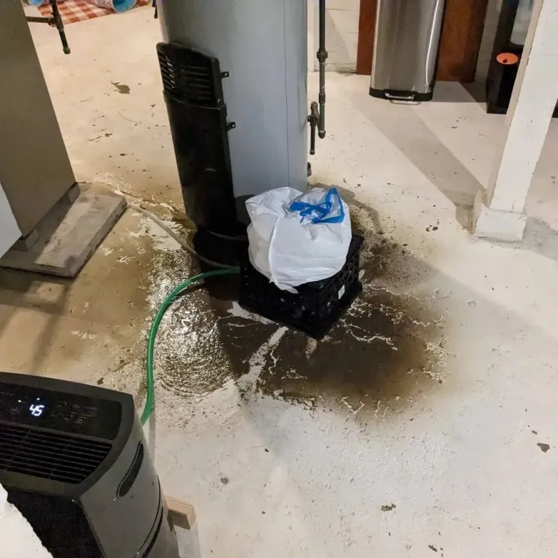 Sewage Backup Cleanup Service in Putney, GA